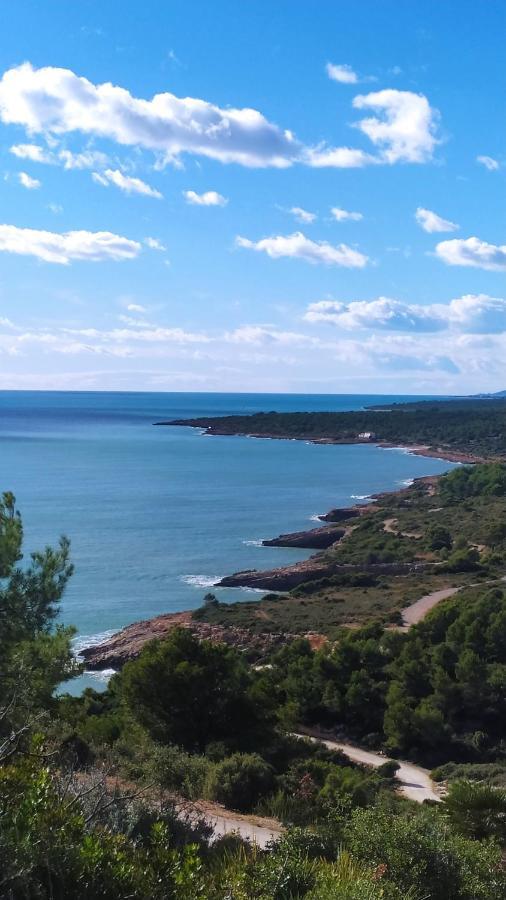Perla Blanca I Peniscola Daire Dış mekan fotoğraf
